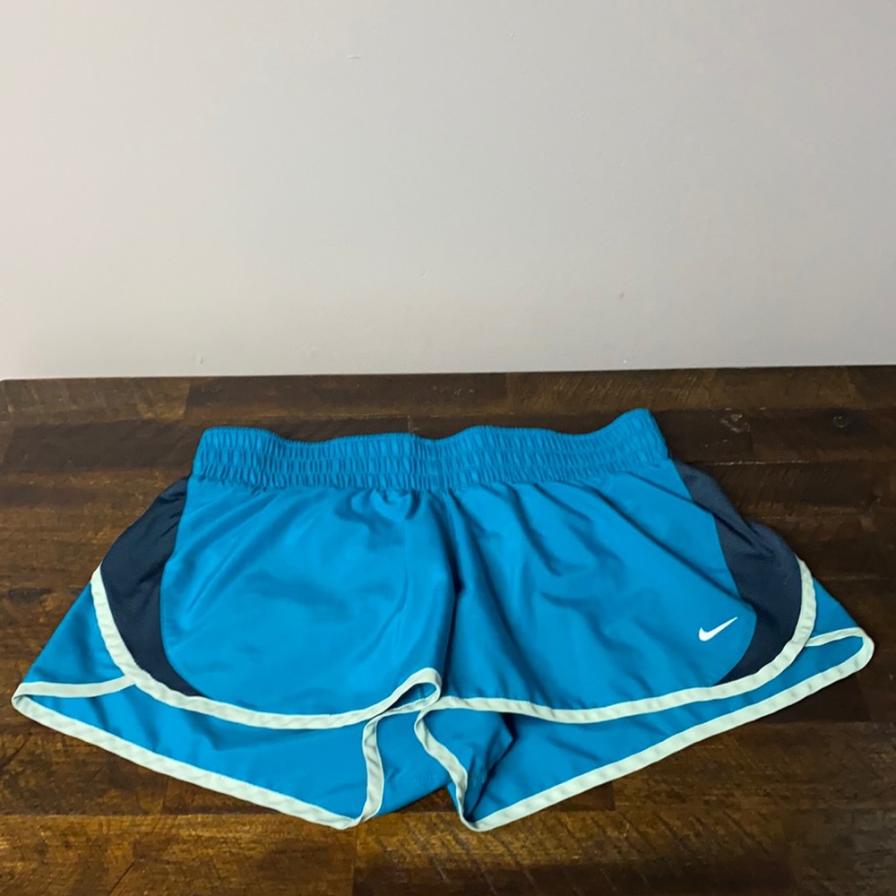 Nike Dri Fit running shorts